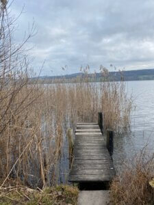 Seerundwanderung Hallwilersee