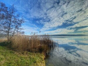 Seerundwanderung Hallwilersee