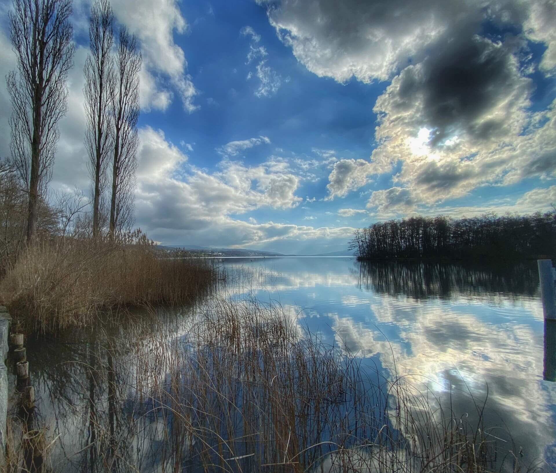 Seerundwanderung Hallwilersee