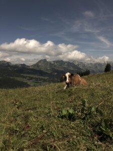 Klang und Sagenweg – Wildenmannlisloch