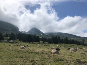 Klang und Sagenweg – Wildenmannlisloch