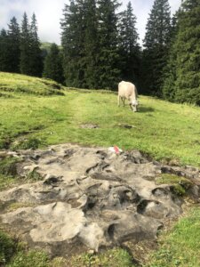 Klang und Sagenweg – Wildenmannlisloch