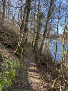 Neuhausen-Rheinfall nach Rüdlingen