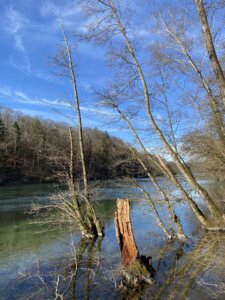 Neuhausen-Rheinfall nach Rüdlingen