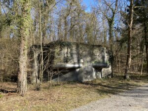 Neuhausen-Rheinfall nach Rüdlingen