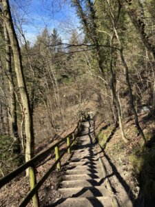 Neuhausen-Rheinfall nach Rüdlingen