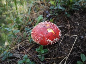 Seerundwanderung um den Vernagt Stausee