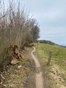 Panoramawanderung über denn Heitersberg