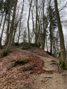 Panoramawanderung über denn Heitersberg