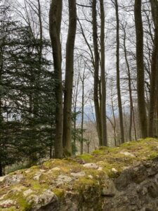 Panoramawanderung über denn Heitersberg