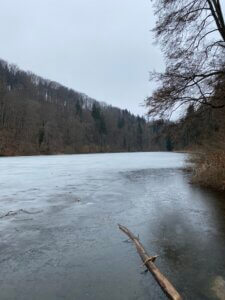 Panoramawanderung über denn Heitersberg