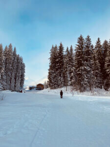 Winterwanderung Rossweid nach Kemmeriboden