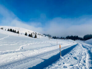 Winterwanderung Rossweid nach Kemmeriboden