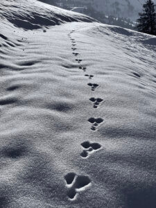 Winterwanderung Rossweid nach Kemmeriboden