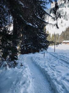 Winterwanderung Rossweid nach Kemmeriboden