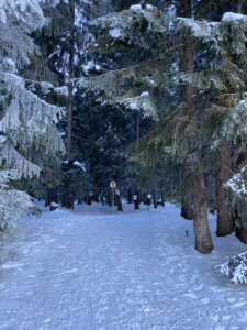 Winterwanderung Rossweid nach Kemmeriboden