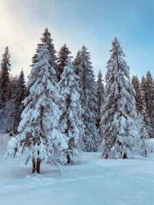 Winterwanderung Rossweid nach Kemmeriboden