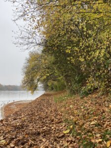 Diessenhofen nach Stein am Rhein