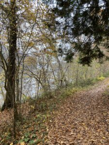 Diessenhofen nach Stein am Rhein