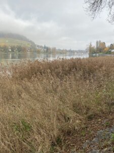 Diessenhofen nach Stein am Rhein