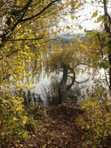 Diessenhofen nach Stein am Rhein