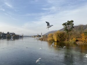 Diessenhofen-nach-Stein-am-Rhein