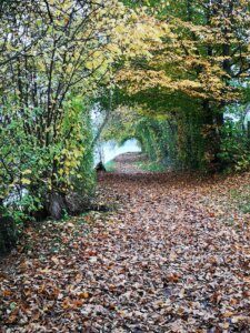 Diessenhofen nach Stein am Rhein