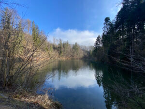 Durch die Tobel und Riedlandschaft beim Pfäffikersee