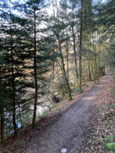 Durch die Tobel und Riedlandschaft beim Pfäffikersee