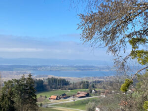 Durch die Tobel und Riedlandschaft beim Pfäffikersee