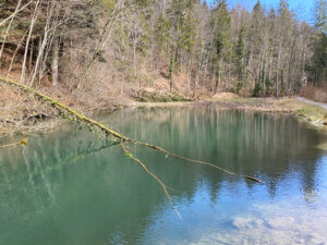 Durch die Tobel und Riedlandschaft beim Pfäffikersee