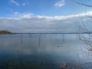 Durch die Tobel und Riedlandschaft beim Pfäffikersee