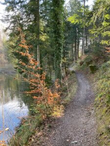 Durch die Tobel und Riedlandschaft beim Pfäffikersee