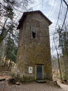 Durch die Tobel und Riedlandschaft beim Pfäffikersee