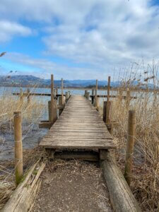 Durch die Tobel und Riedlandschaft beim Pfäffikersee