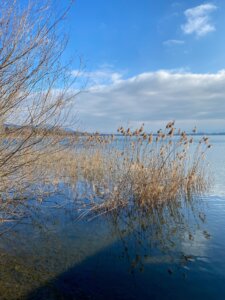 Durch die Tobel und Riedlandschaft beim Pfäffikersee