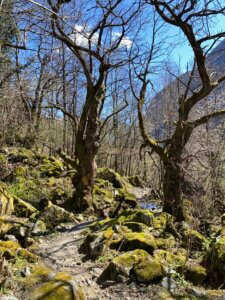 Wanderung San Carlo nach Bignasco