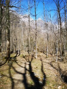 Wanderung San Carlo nach Bignasco