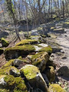 Wanderung San Carlo nach Bignasco