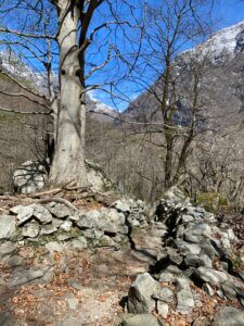 Wanderung San Carlo nach Bignasco