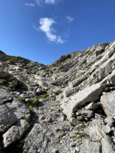 Schynige Platte-Faulhorn-First