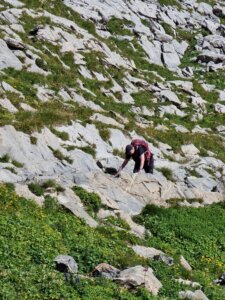 Schynige Platte-Faulhorn-First