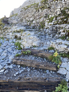 Schynige Platte-Faulhorn-First