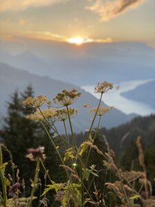 ausflug-schynige-platte