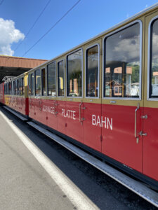 ausflug-schynige-platte