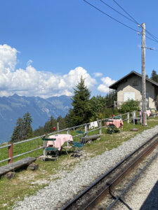 ausflug-schynige-platte