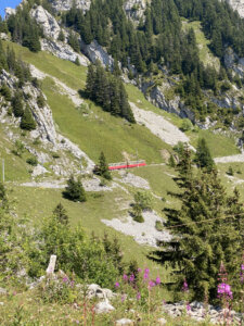 ausflug-schynige-platte