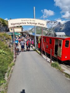 ausflug-schynige-platte