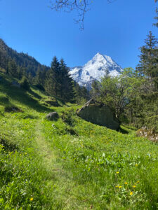 Silener-Höhenweg