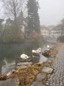 Wanderung Werdenberg nach Sargans Schlossweg